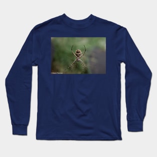 Orb Weaver Spider Long Sleeve T-Shirt